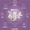 IronMaxx Cream Protein - 500 g Bag | Protein-Rich Cooking