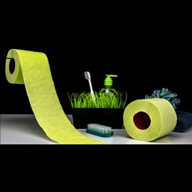 Renova Lime Green Toilet Paper 3 ply Blister Pack 2 Rolls 140 Premium Quality sheets