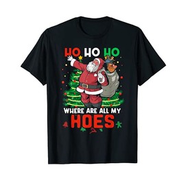 Ho Ho Hoo Where Are All My Hoes Funny Santa T-Shirt, black