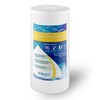 6PP-10B-1M Big Whole House Water Filter Sediment, 4.5x10-Inches, 1Micron WELL-MATCHED