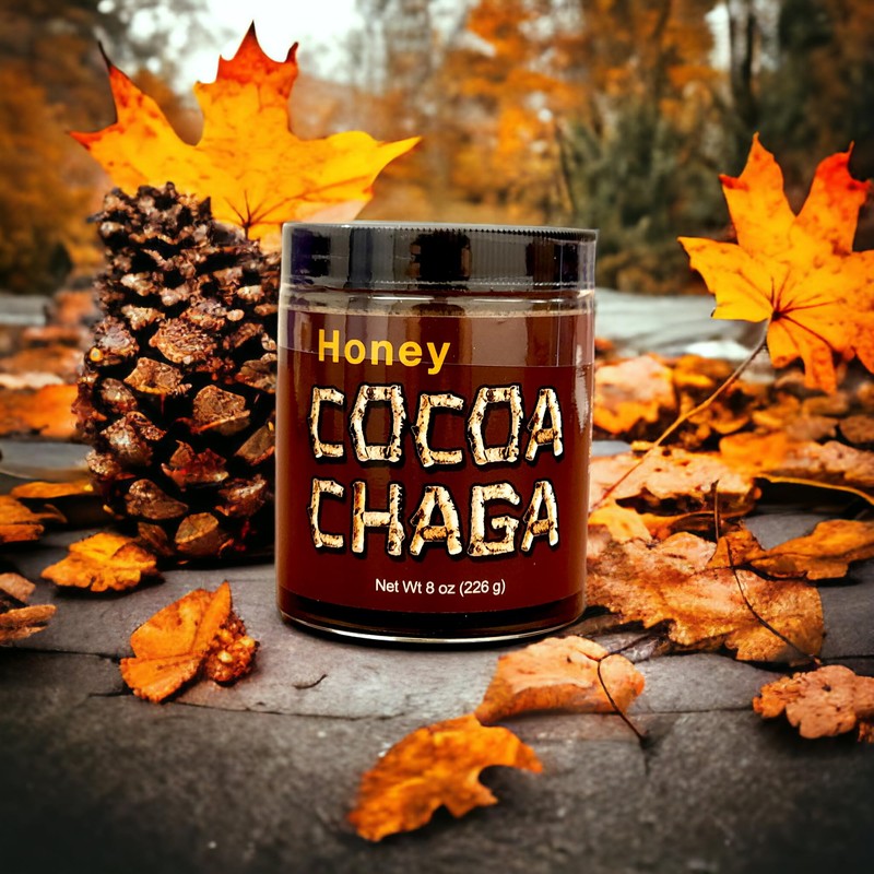 Zen Bear | Honey Cocoa Chaga | A Light Chocolate
