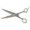 Dubl Duck Stainless Steel Small Pet Filipino Mercedes 88 Straight