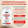 Paquete de 3 Probióticos Avanzados Laboratorios Wöhl Cápsulas Enzimas Digestivas