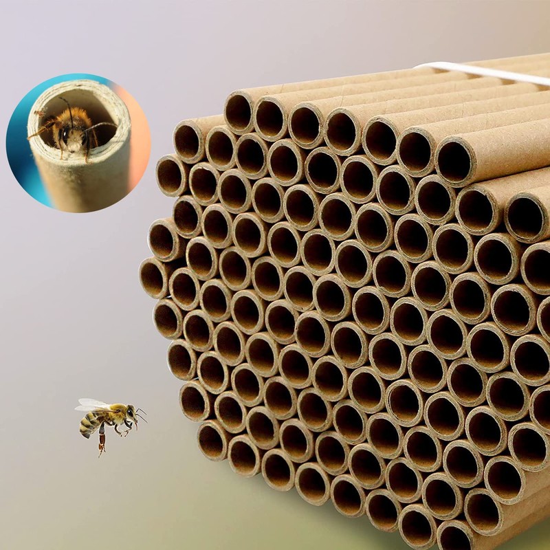 Jindduo Mason Bee Tubes 120 Pieces of 6 inch Long