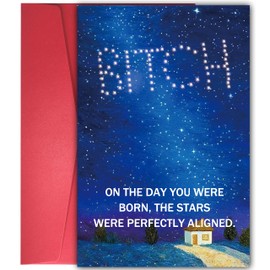 YIWANSIN Snarky Birthday Card for Adults - 'On the Day You Were Born' Hilarious Greeting Card for Friends & Coworkers - Dark Humor Gifts for Her Him
