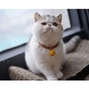 LUYING Cat Collar Bell Cat Collar with Yellow Bell Cute