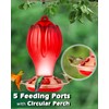 Petbank Hummingbird Feeders for Outdoors, 33OZ Glass Hummingbird Feeder with