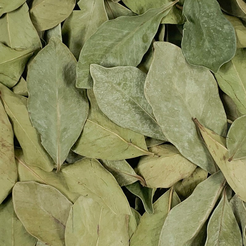 Oh Herb Domestic guava tea guava leaves 100g / 국산