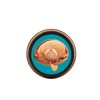 The Body Shop The Body Shop bodyisukurabu wairudoarugan 250ml [Genuine]