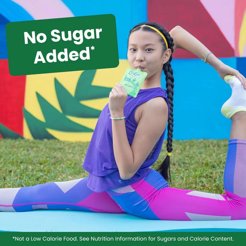 Undisclosed GoGo squeeZ Applesauce and Fruit Puree Variety Pack, Apple