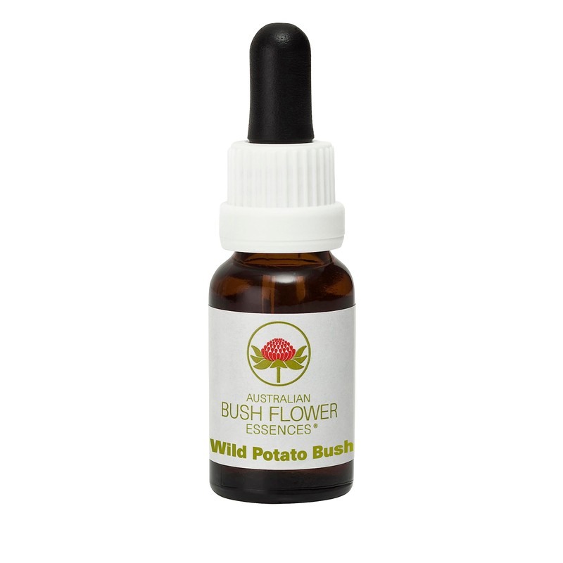 Wild Potato Bush 15 ml Stockbottle Australian Bush Flower Essences