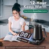 Electric Kettle, HIYAKOI Gooseneck Electric Kettle with Temperature Control, Pour