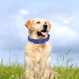 Waterproof Dog Collar Soft Rubber Dog Collar with Safety Buckle Adjustable Pet Collars for Small Medium Large Dogs