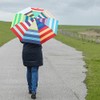 Remember Umbrella Allegra - Colourful Pocket Umbrella Provides a Good