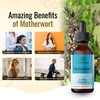 HERBAMAMA Motherwort Tincture - Organic Motherwort Herb Liquid Drops -