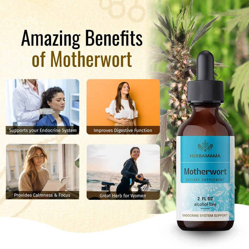 HERBAMAMA Motherwort Tincture - Organic Motherwort Herb Liquid Drops -
