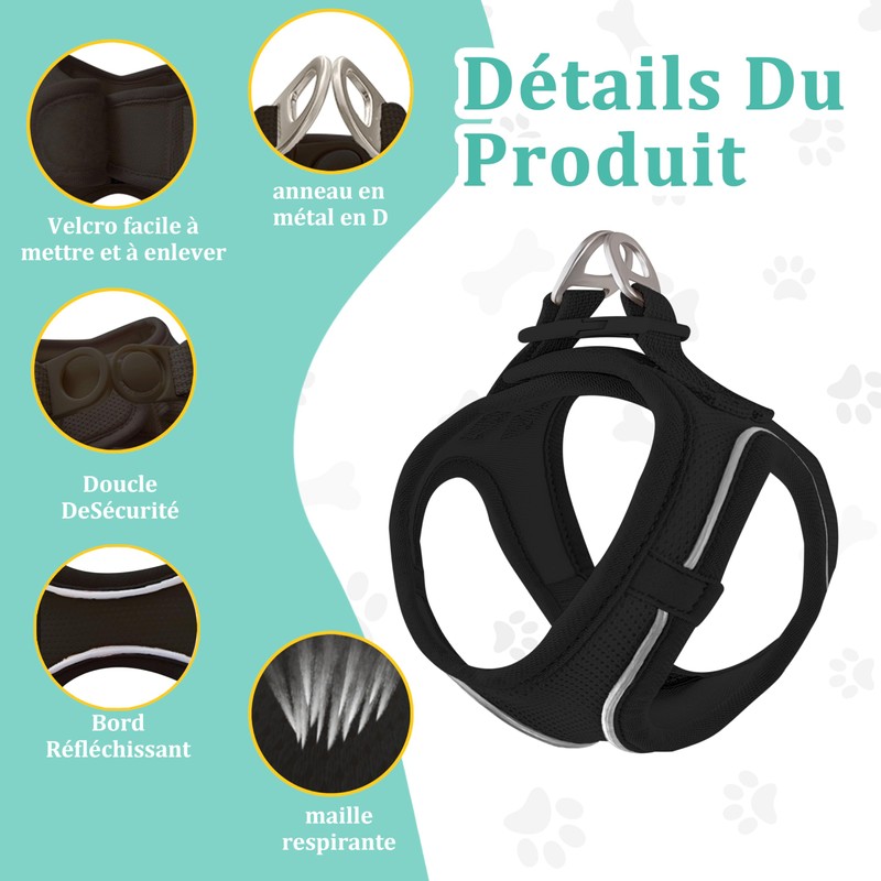 Qianruida Cat Harness with Leash, Soft Harness for Kittens, Leash