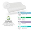 Acanva Bodipedic Classics Contour Memory Foam Bed Pillow - White