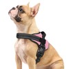 rabbitgoo Dog Harness Small Sized, No Pull No Choke Pet