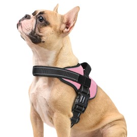 rabbitgoo Dog Harness Small Sized, No Pull No Choke Pet Vest, Easy Wearing with One Buckle, Reflective, Adjustable Pet Harness with Molle for Walking, Training, Pink, S