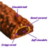 Choco Mucho | Caramel Creamy Chocolate Cookie Candy Bars |