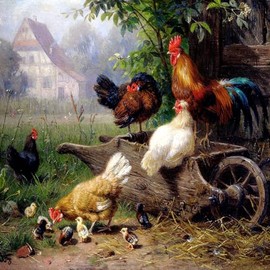 Tile Mural Farm Rooster Chickens by Carl Jutz Kitchen Bathroom Wall Backsplash Behind Stove Range Sink Splashback One Tile 6" Marble, Matte