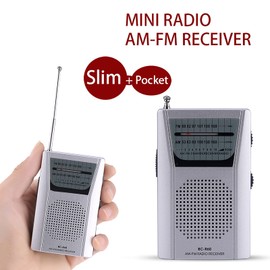 Small Portable Radio, Mini Portable FM/AM World Receiver Built in Speaker, 60 Station Preset, Support Stores Stations Automatically