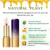LZYLLS 2PCS Jelly Lipstick,Moisturizing Color Changing Lip Balm Lipstick,Waterproof Temperature