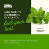 Swanson Spearmint Leaf (Mentha Spicata) - Full Spectrum Herbal Supplement