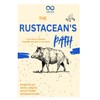 The Rustacean's Path: From Zero to Systems Programming Hero in