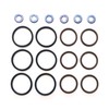 Nelson Seals Viton O-Ring Kit for International DT466E DT570 9