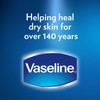 Lip Vaseline Cocoa X 12 X 20g