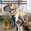 Dog Muzzles for Small Dog, Soft Air Mesh Anti-Biting Licking