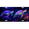 Interesting Sea Turtle License Plate Save The Turtles Beautiful Colors