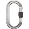 Black Diamond BD10035 Oval Key Lock Screw Silver Polish