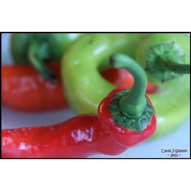 50+ Cayenne Pepper Seeds- Large Red Thick- Heirloom Variety
