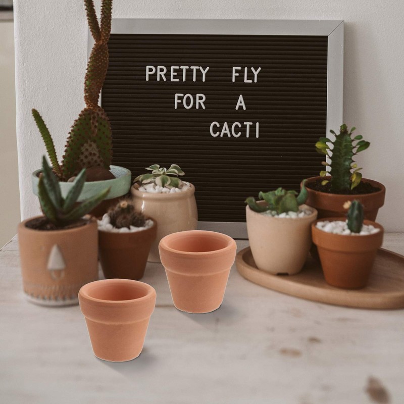 Toddmomy 10Pcs Mini Terracotta Pots Clay Pottery Planter Succulent Nursery
