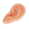 Ear Model,Professional Soft Silicone Left Ear Model Fake Ear Display