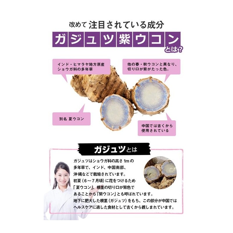 ガジュツ紫ウコン 270粒