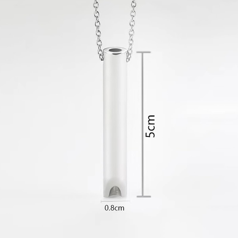Sarini 2PCS Stainless Steel Whistle Meditation Mindful Breathing Relieve Anxiety