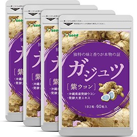 シードコムス ガジュツ 紫ウコン サプリメント 約12ヶ月分 720粒