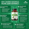 Zazzee Extra Strength Olive Leaf 50:1 Extract, 20,000 mg Strength,