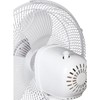 Oscillating Fan