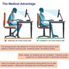 Keester Back and Hip Alignment Seat Cushion, The, for Proper