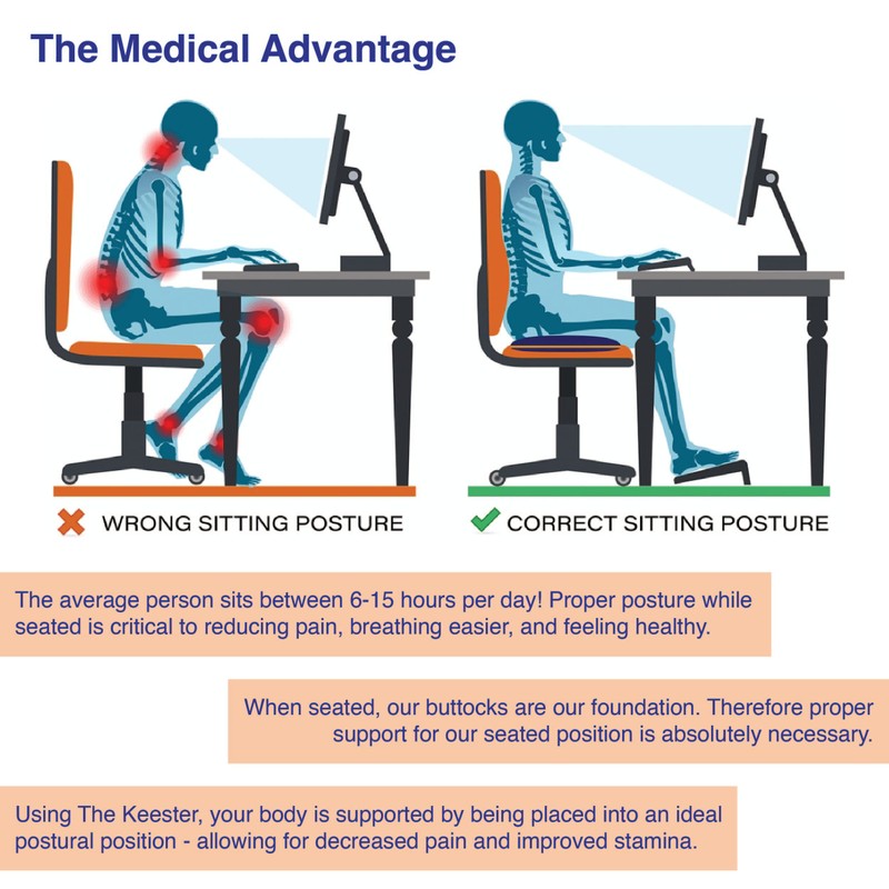 Keester Back and Hip Alignment Seat Cushion, The, for Proper