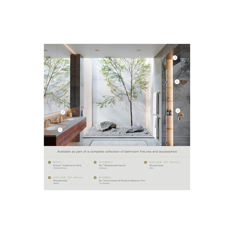 6" 2-Function Showerhead With ArmBLACK