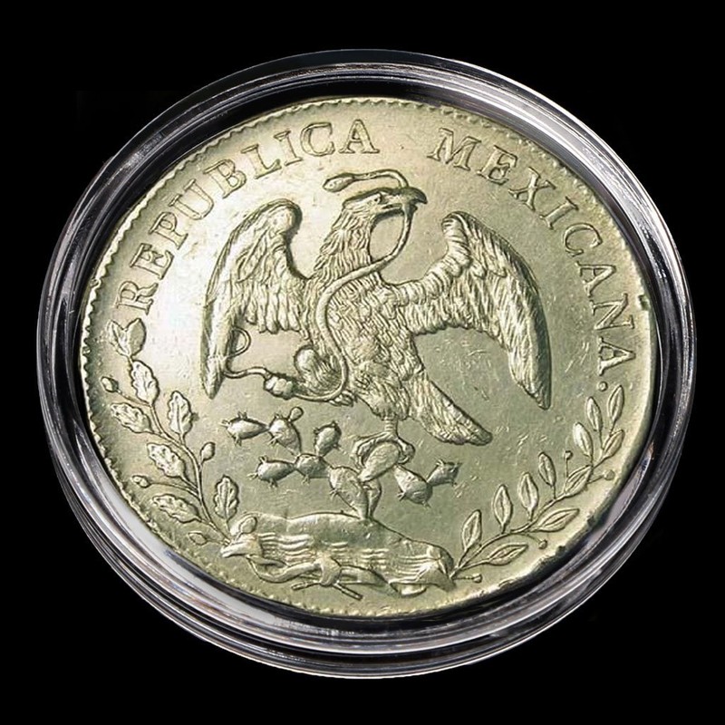 SimpleLife 40.6mm Coin Holder Capsule Direct Fit for 1oz American