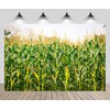 CHNYWORK 15x8ft Cornfield Backdrop Autumn Green Corn Field Corn Stalks