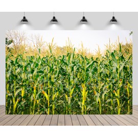 CHNYWORK 15x8ft Cornfield Backdrop Autumn Green Corn Field Corn Stalks Countryside Corn Farm Harvest Fall Scenery Background Fall Harvest Party Decor Photo Booth Studios Props Wallpaper