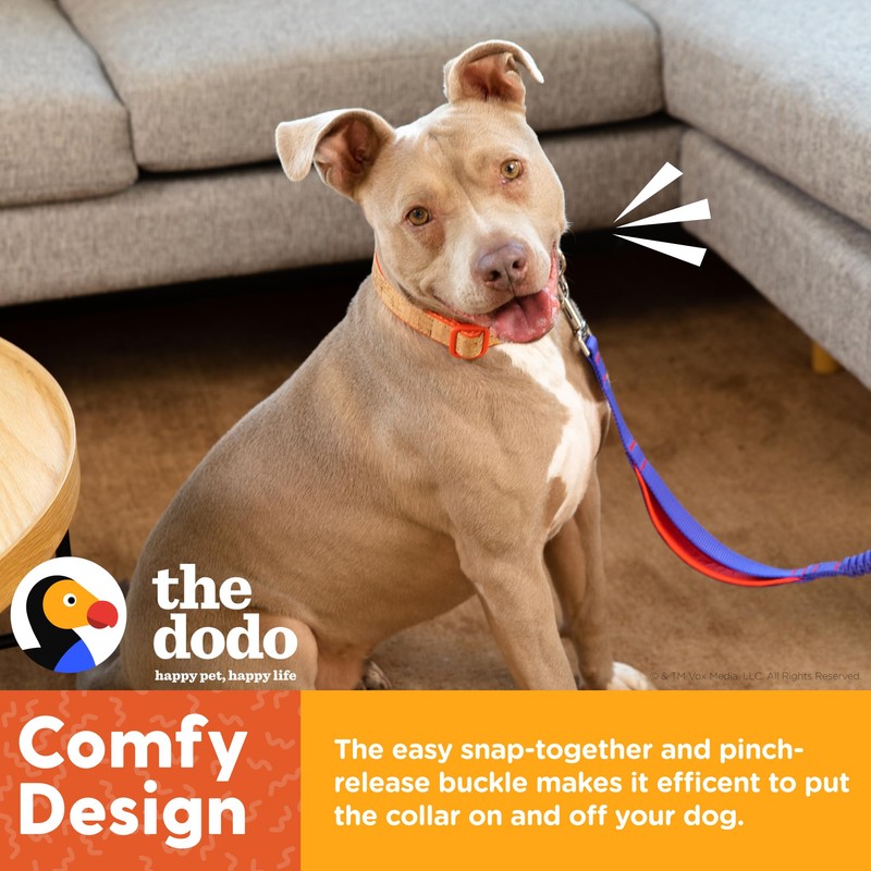 The Dodo Cork Dog Collar, Red Dodo Print; Size Large;